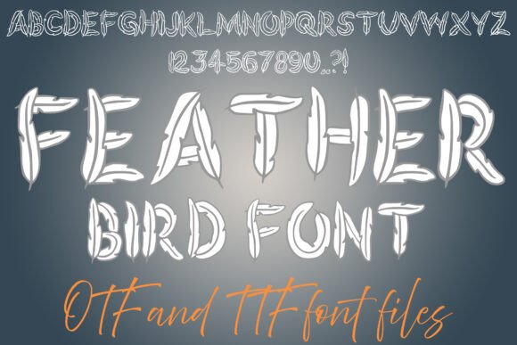 Feather Bird: A Creative Display Typeface for Campaign Design